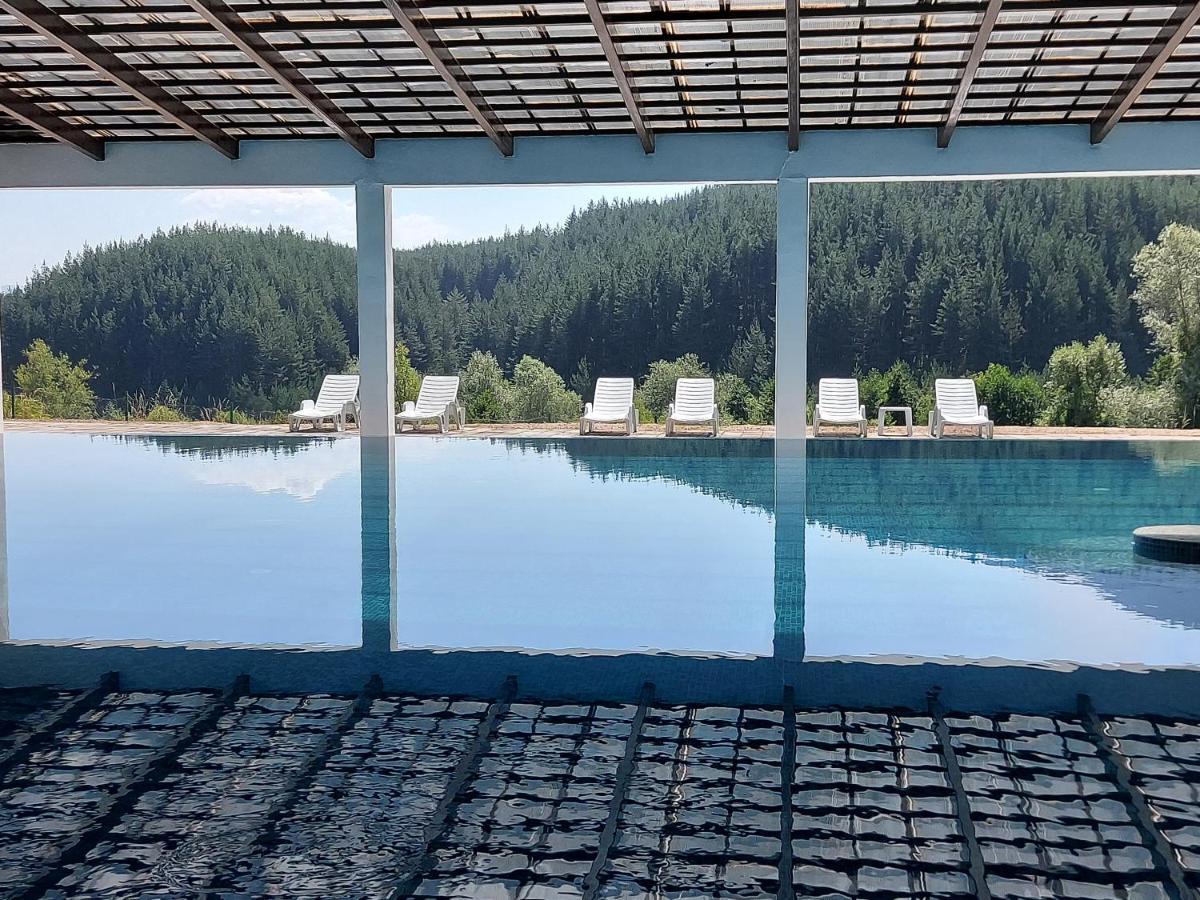 Pinerose Resort بانسكو المظهر الخارجي الصورة