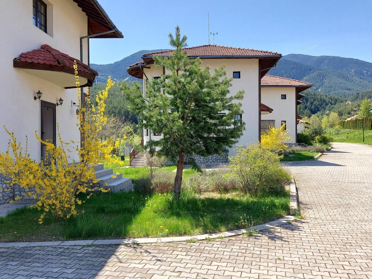Pinerose Resort بانسكو المظهر الخارجي الصورة
