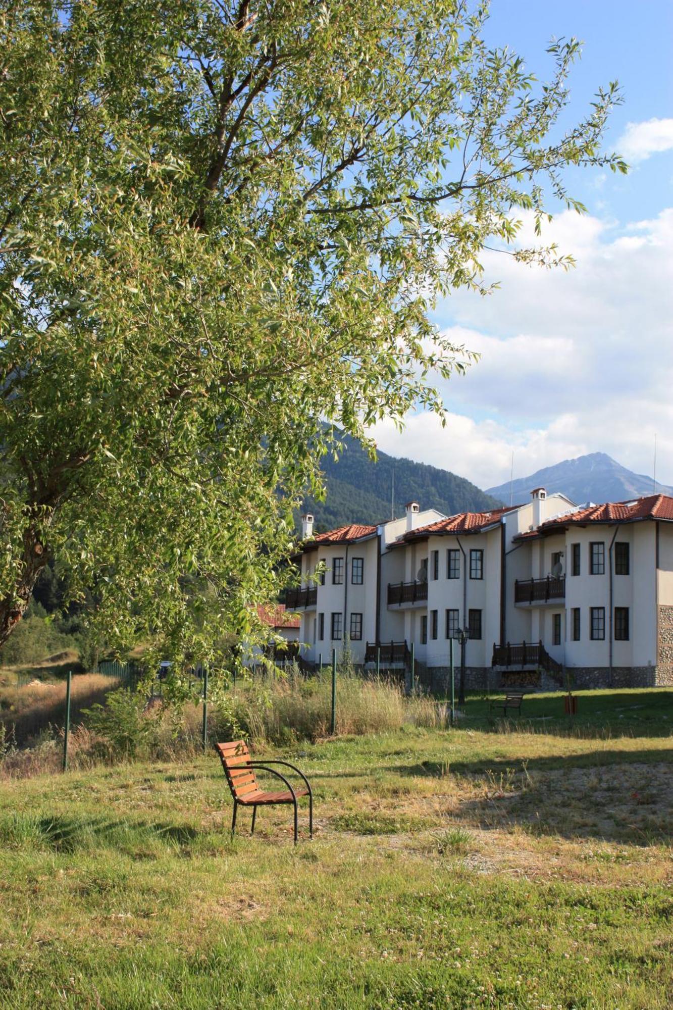 Pinerose Resort بانسكو المظهر الخارجي الصورة