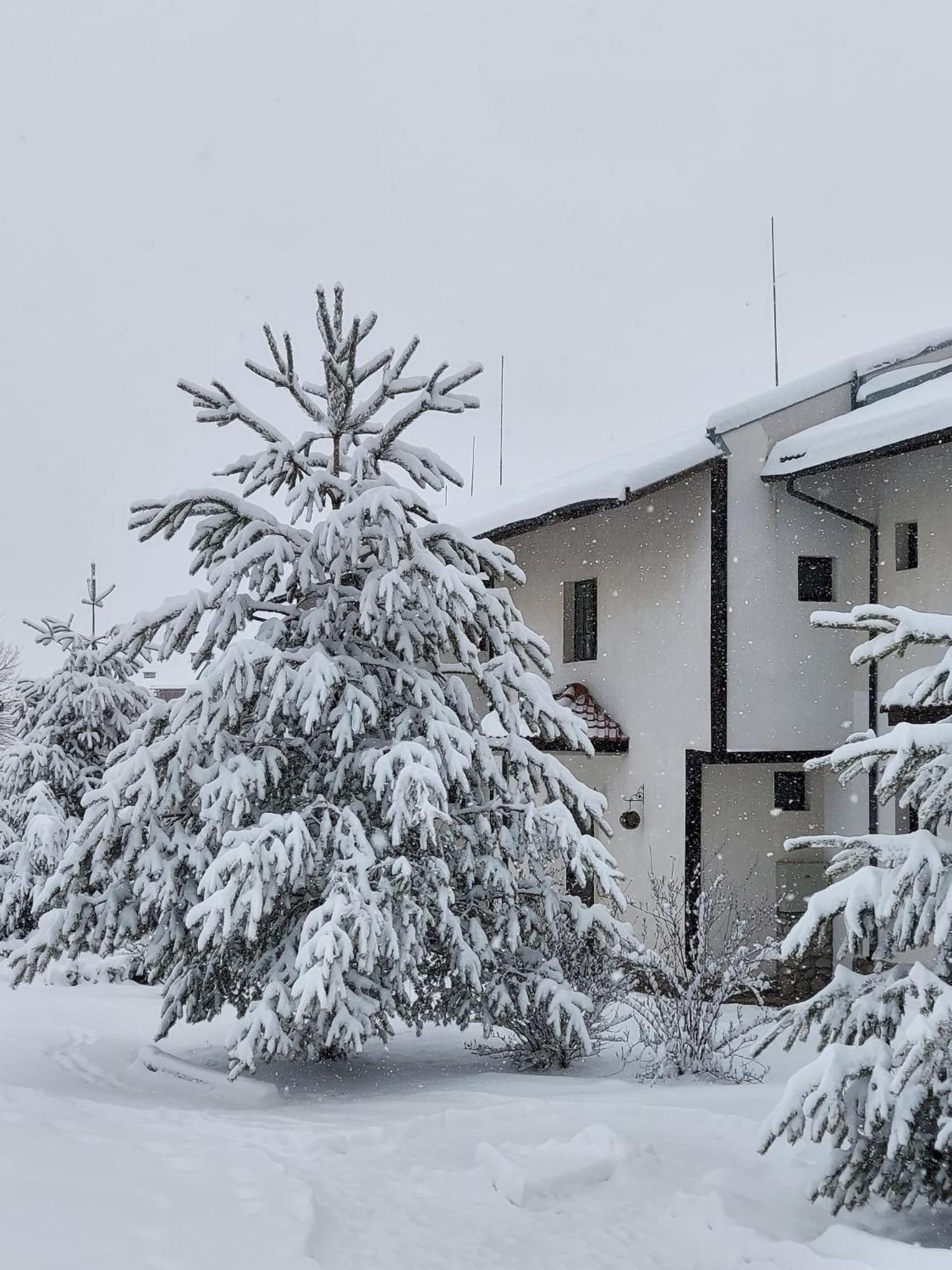 Pinerose Resort بانسكو المظهر الخارجي الصورة
