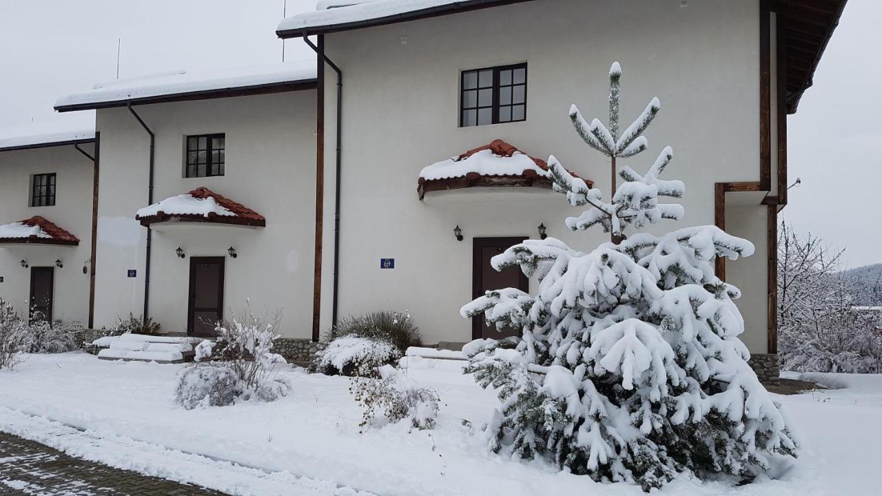 Pinerose Resort بانسكو المظهر الخارجي الصورة